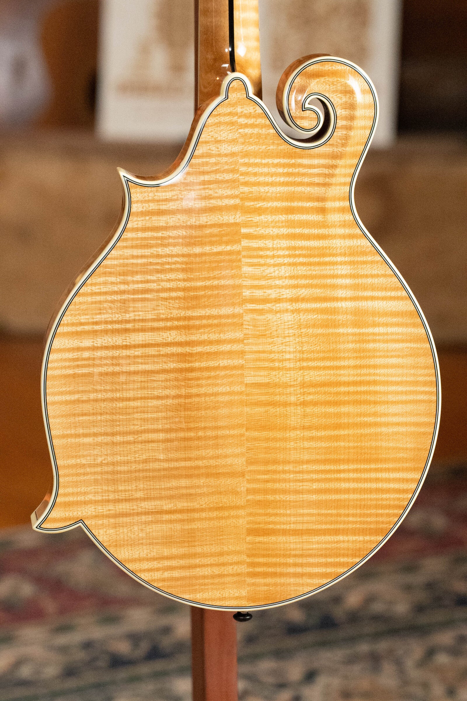 Bourgeois M5-F Aged-Tone Adirondack/Maple F-Style Mandolin #9122 - Image 11
