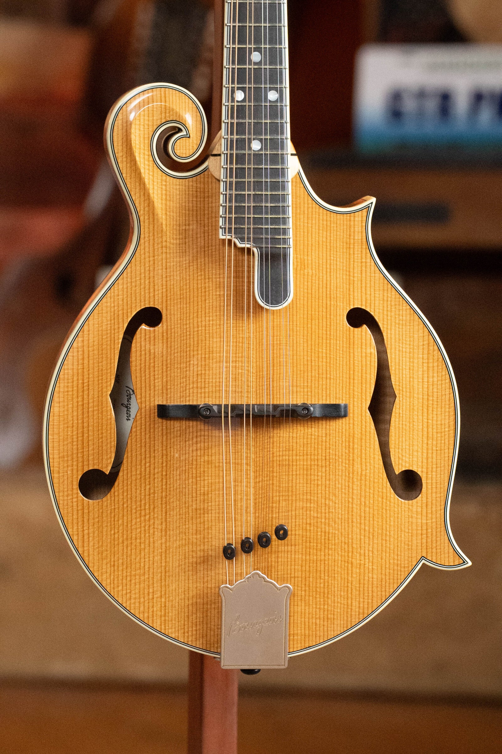 Bourgeois M5-F Aged-Tone Adirondack/Maple F-Style Mandolin #9122 - Image 7