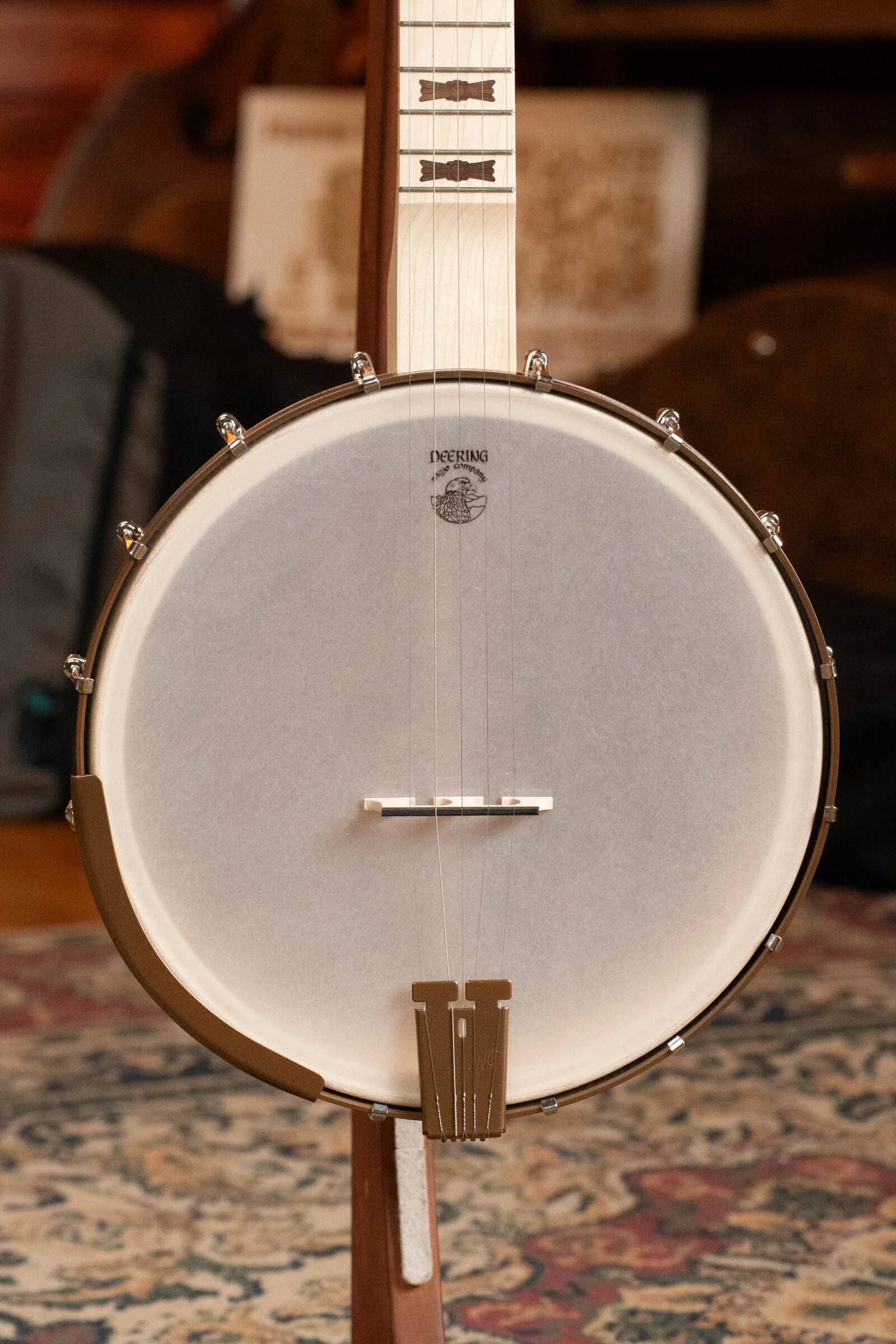 Deering Goodtime Americana 5-String Open Back Banjo w/Scooped Neck and Spikes Installed #3253 - Image 5